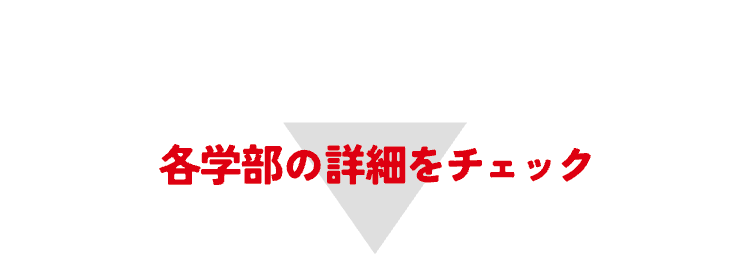 各学部の詳細をチェック